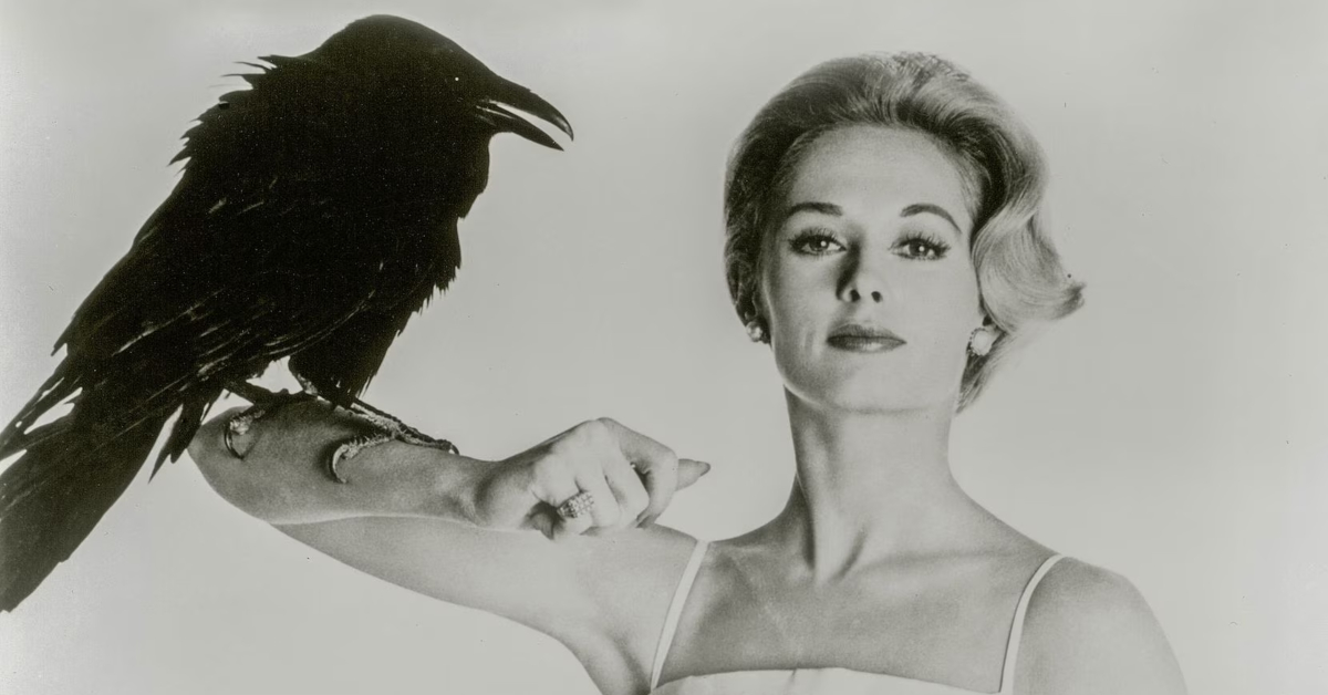 Sci-Fi Movies - Photo of The Birds